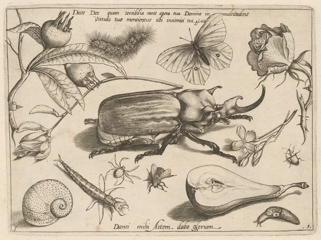 Part 1, Plate 1, from the series Archetypa studiaque (Archetypes and Studies), by Jacob Hoefnagel, ink, 1592