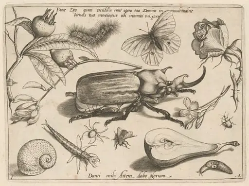 Part 1, Plate 1, from the series Archetypa studiaque (Archetypes and Studies)