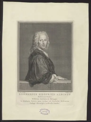 Portrait of Bernardus Siegfried Albinus, doctor of medicine at Leiden, by Jacob, Houbraken