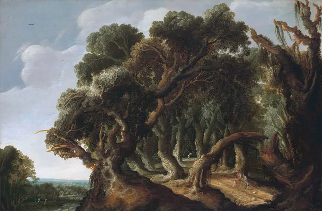 Wooded Landscape