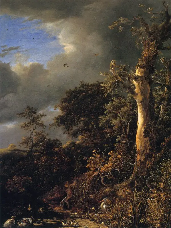 Blasted Oak near a Pond, by Jacob van Ruisdael