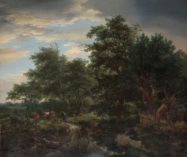 Forest scene