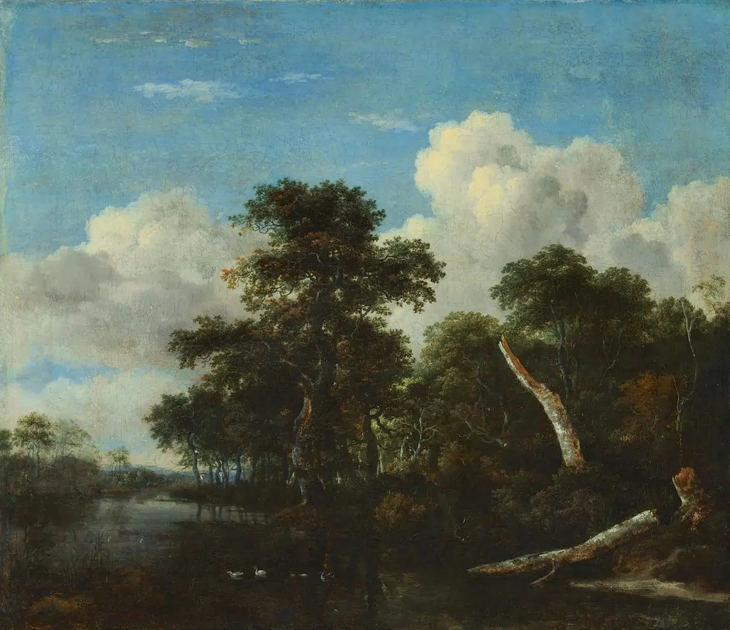 Forest thicket, by Jacob van Ruisdael