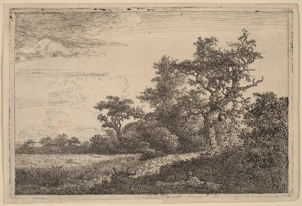 Grain Field at the Edge of a Wood (Corn Field), by Jacob van Ruisdael, ink, 1655