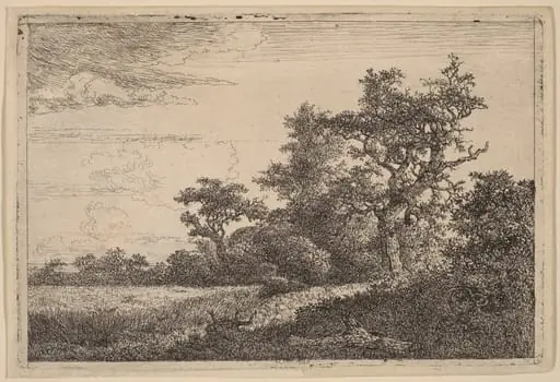 Grain Field at the Edge of a Wood (Corn Field), by Jacob van Ruisdael