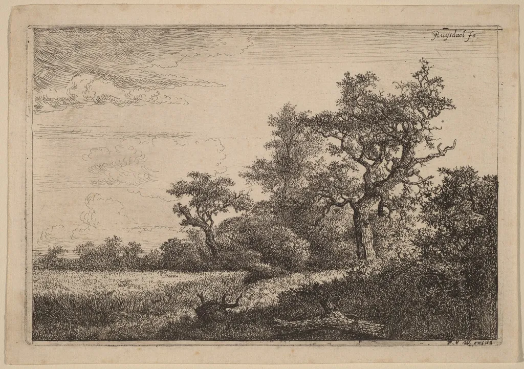 Grain Field at the Edge of a Wood (Corn Field), by Jacob van Ruisdael, ink, 1655