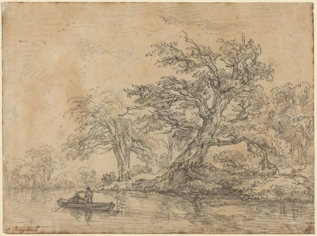 Old Trees along a Bank, by Jacob van Ruisdael, chalk, 1644