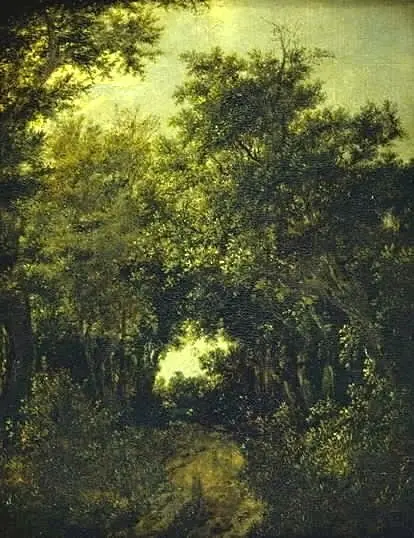 Road in an Oak Forest