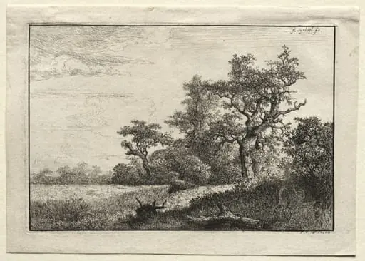 The Wheat Field, by Jacob van Ruisdael