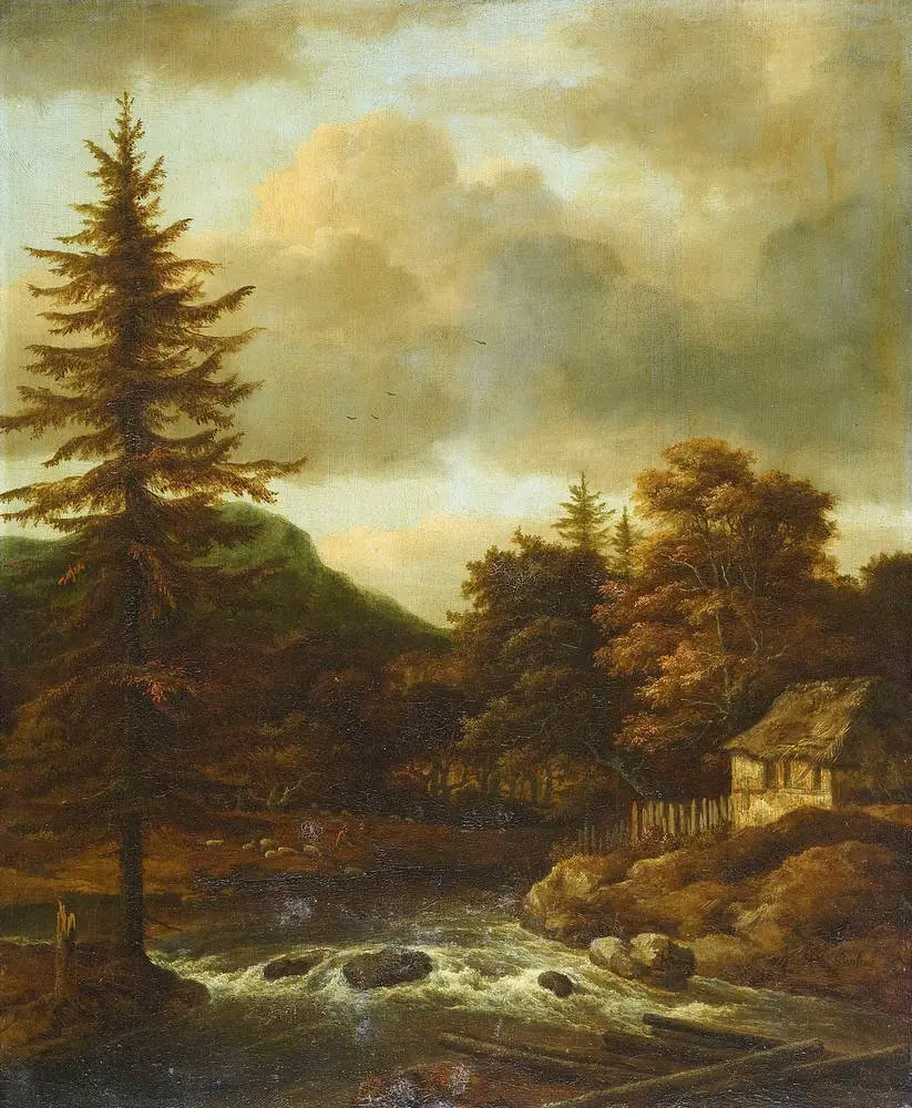 Waterfall with Pine tree