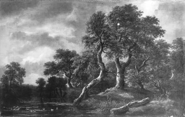 Wooded Landscape with Marsh, by Jacob van Ruisdael
