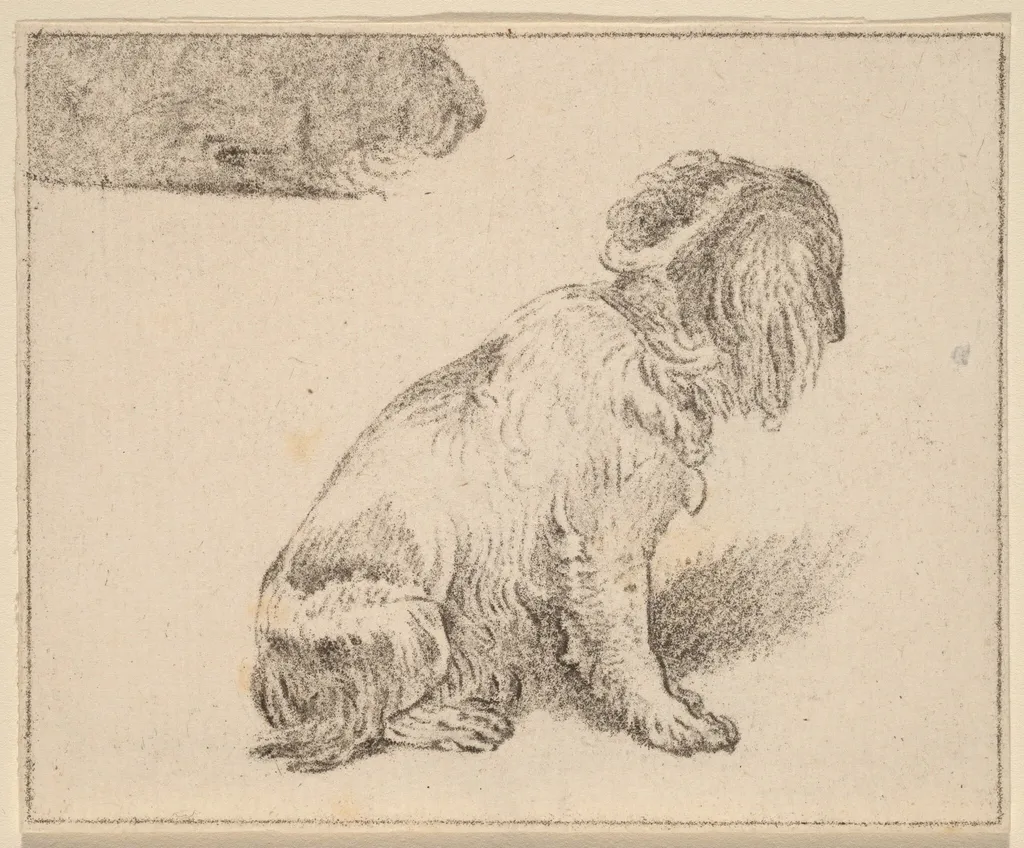 Seated Dog, by Jacobus Buys, chalk, 1777