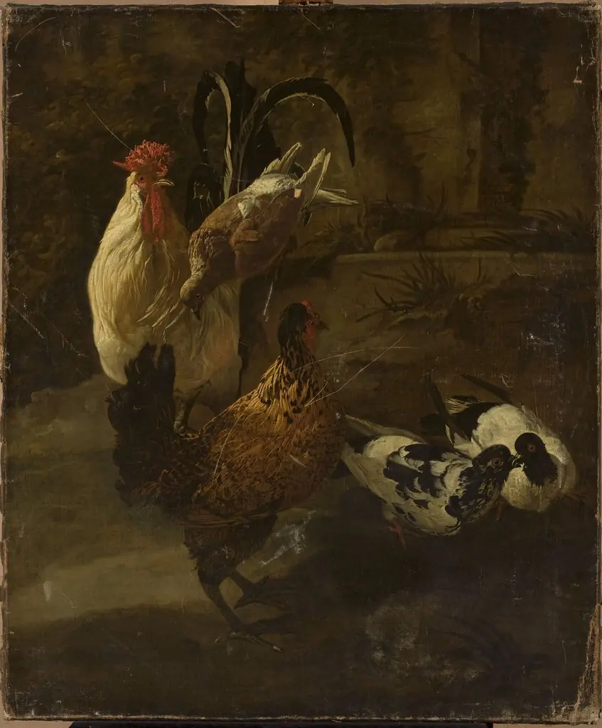 Domestic fowls, by Jacomo Victors