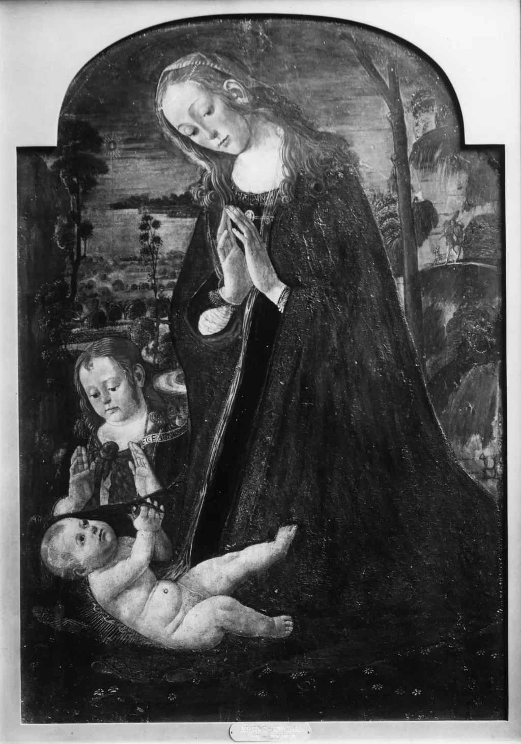 Madonna Adoring the Child, by Jacopo da Sellaio, oil