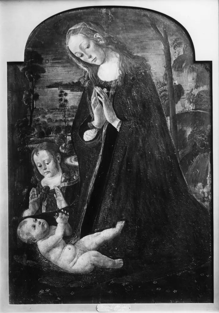 Madonna Adoring the Child, by Jacopo da Sellaio