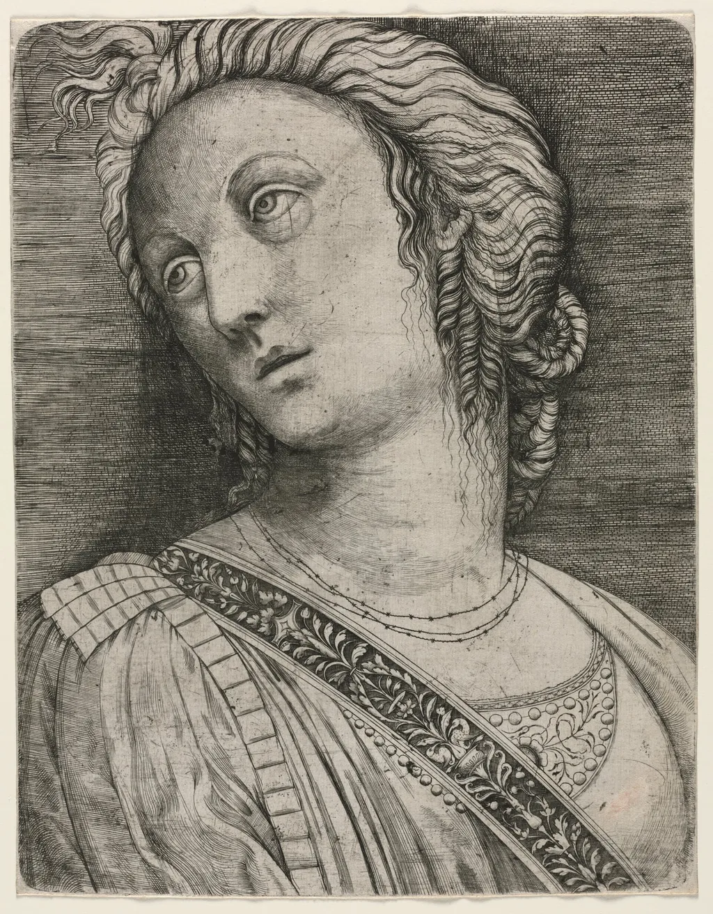 Bust of a Woman, by Jacopo de' Barbari, 1509