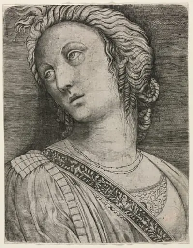 Bust of a Woman, by Jacopo de' Barbari
