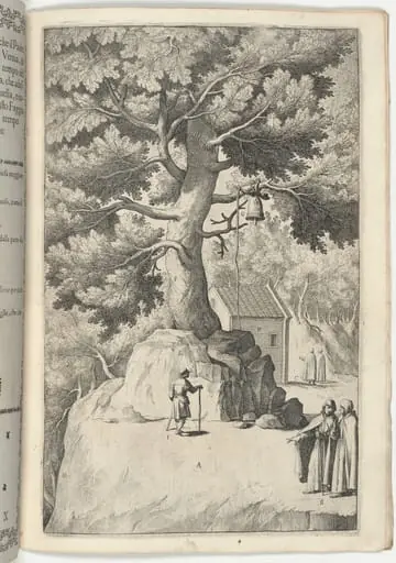 Beech Tree with the Bell (Faggio della campana) [plate X], by Jacopo Ligozzi