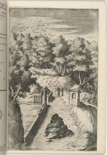 The Salutation of the Birds (Il Saluto degli uccelli) [plate C], by Jacopo Ligozzi