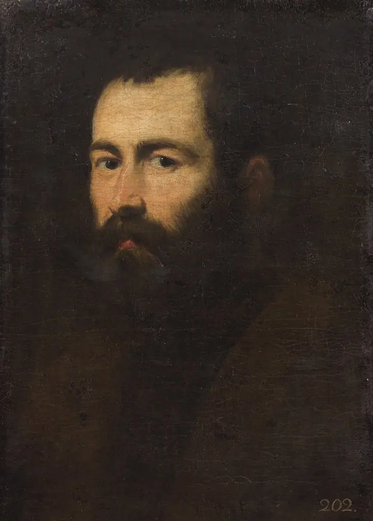 Bildnis eines dunkelbärtigen, blauäugigen Mannes, by Jacopo Tintoretto