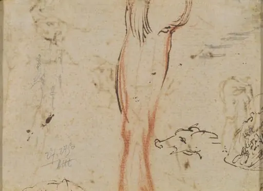 A Leg and a Pig's Head, by Jacques Callot