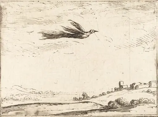 Bird of Paradise, by Jacques Callot
