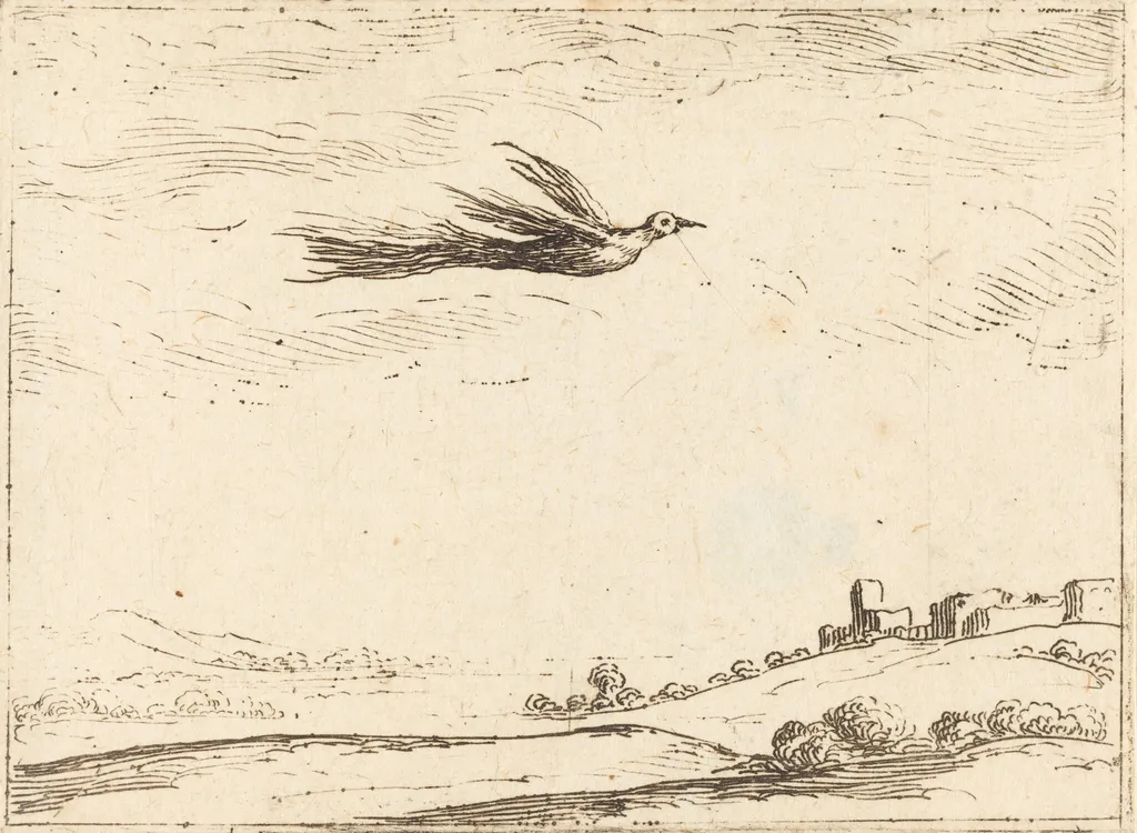 Bird of Paradise, by Jacques Callot, ink, 1628