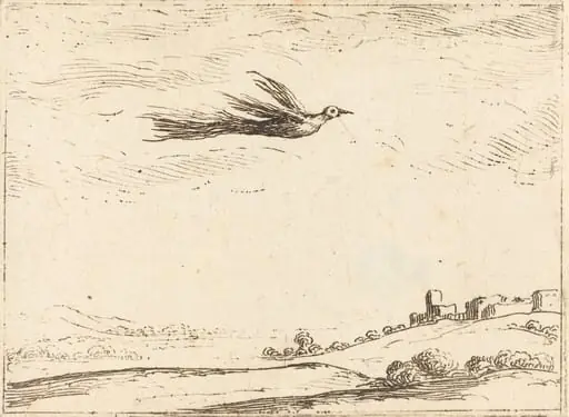Bird of Paradise, by Jacques Callot