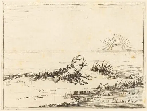 Crayfish Looking at the Sun, by Jacques Callot