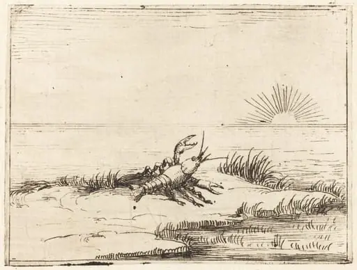 Crayfish Looking at the Sun, by Jacques Callot