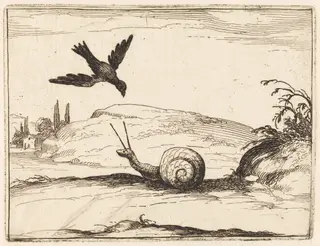 Crow and Snail, by Jacques Callot, 1628