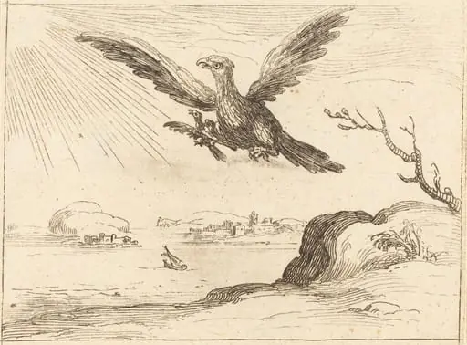 Eagle and Young, by Jacques Callot