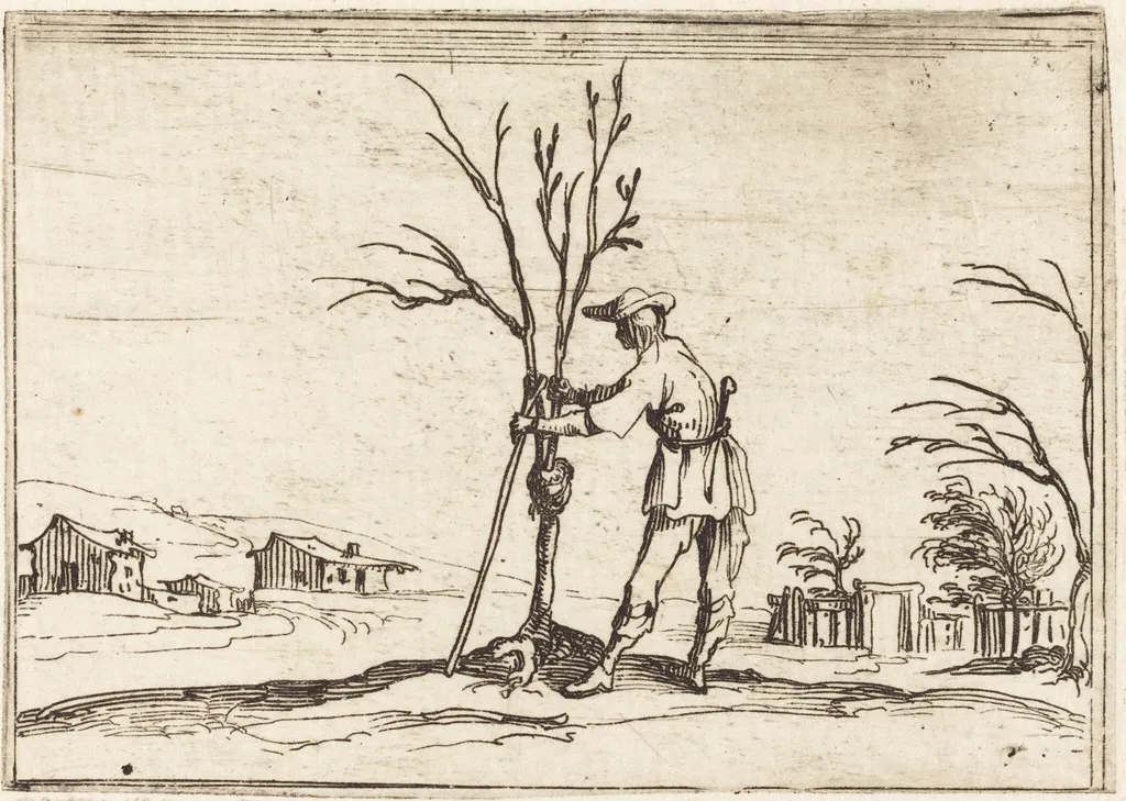 Gardener Pruning a Tree, by Jacques Callot, ink, 1628