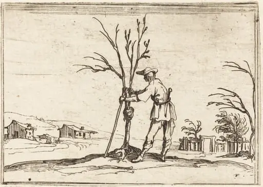 Gardener Pruning a Tree, by Jacques Callot