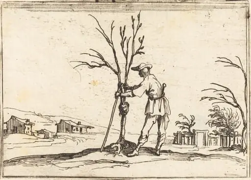 Gardener Pruning a Tree, by Jacques Callot