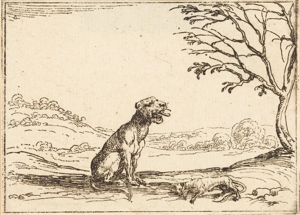 Lioness Mourning her Cub, by Jacques Callot, ink, 1628