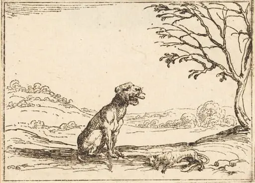 Lioness Mourning her Cub, by Jacques Callot