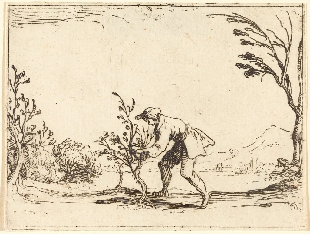 Man Cutting a Balm-Tree, by Jacques Callot, ink, 1628