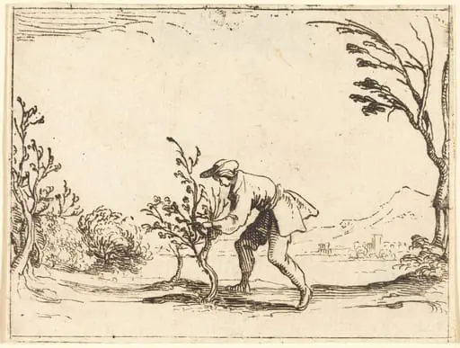 Man Cutting a Balm-Tree, by Jacques Callot