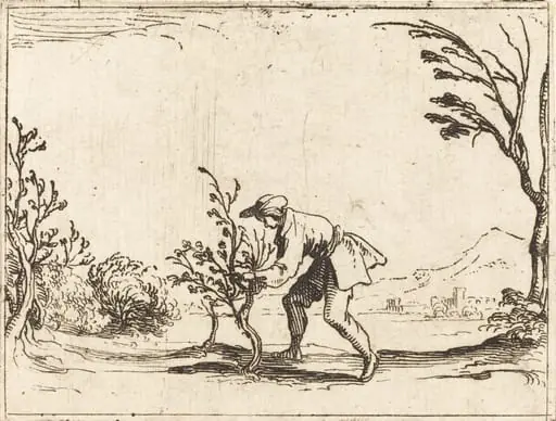 Man Cutting a Balm-Tree, by Jacques Callot