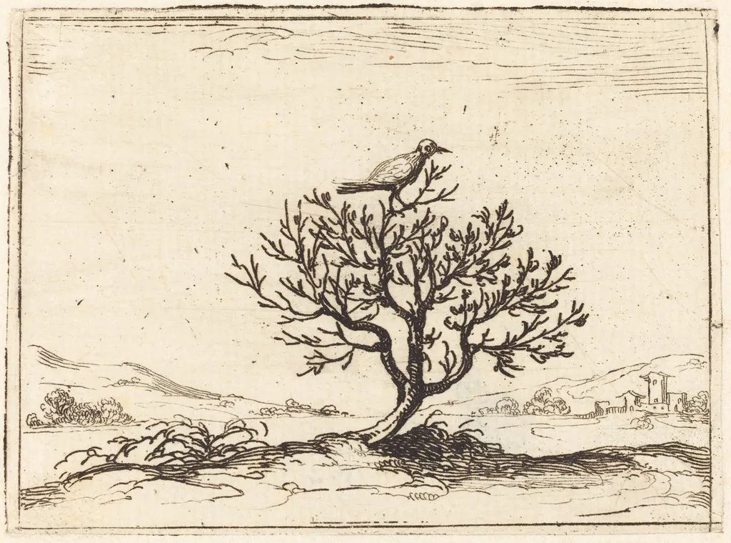Nightingale in a Bush, by Jacques Callot, ink, 1628