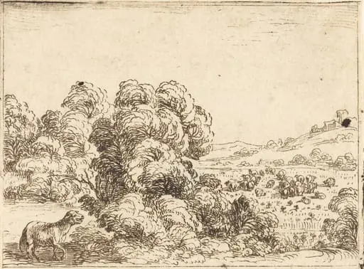Sheep Calling Lamb, by Jacques Callot