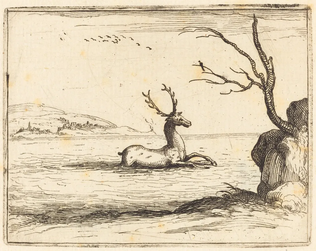 Stag in the Water, by Jacques Callot, ink, 1628