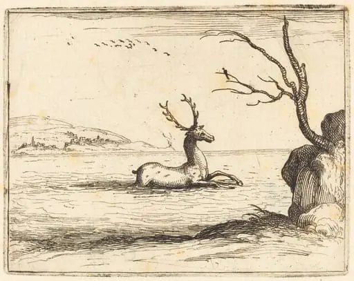 Stag in the Water, by Jacques Callot