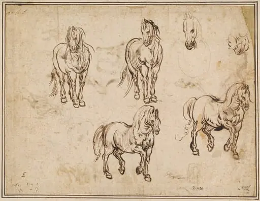 Studies of Horses [recto], by Jacques Callot