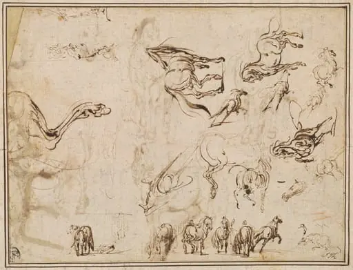 Studies of Horses [verso], by Jacques Callot