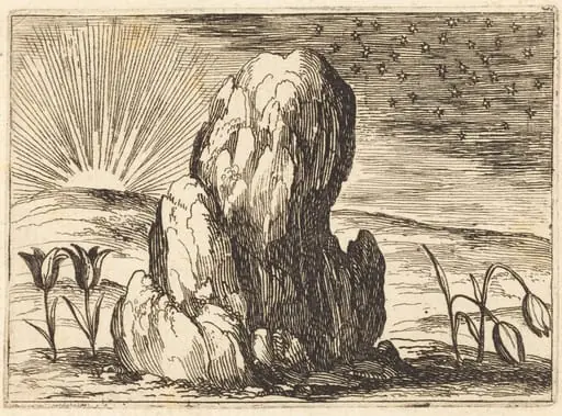 The Tulips and the Sun, by Jacques Callot