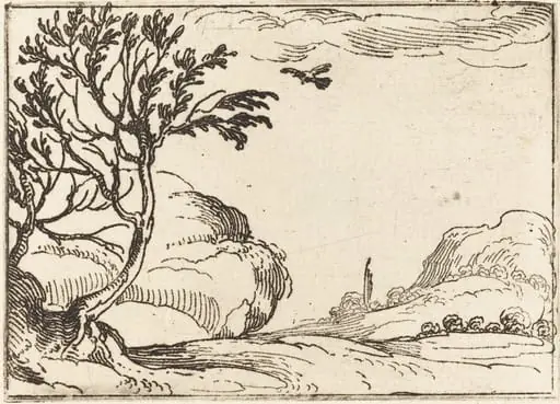 Turtle Dove Flying in the Desert, by Jacques Callot