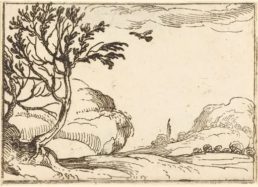 Turtle Dove Flying in the Desert, by Jacques Callot