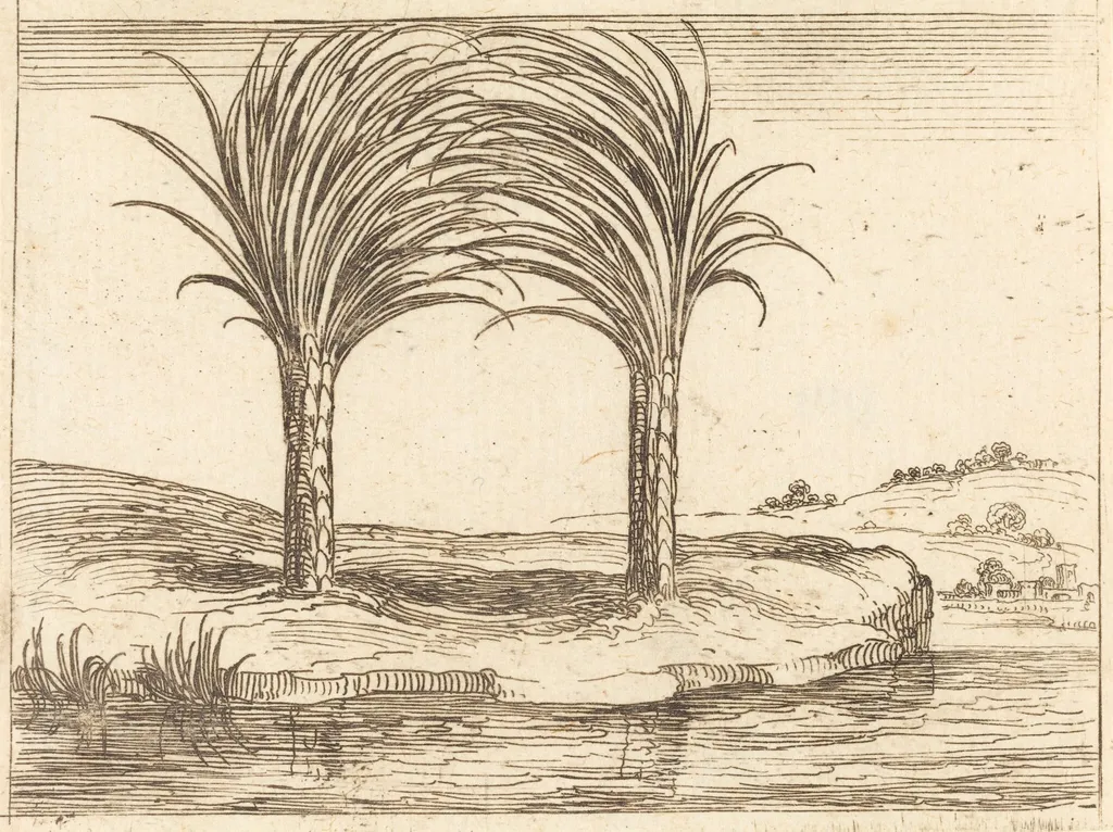 Two Palm Trees, by Jacques Callot, ink, 1628